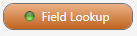 ConfigureInvoiceEntryFieldsCustomFieldLookupbuttonwithindicator-mh