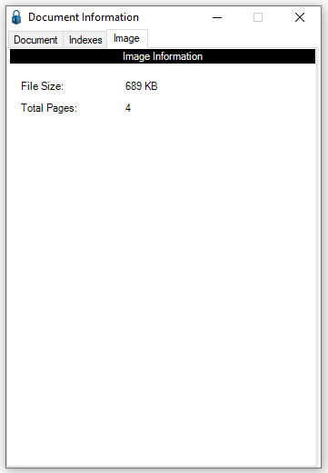 DocumentInformationdialogboxImagetab-mh