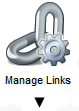 ManageLinksIcon