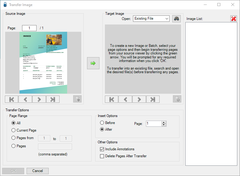 TransferPagesdialog1a-mh