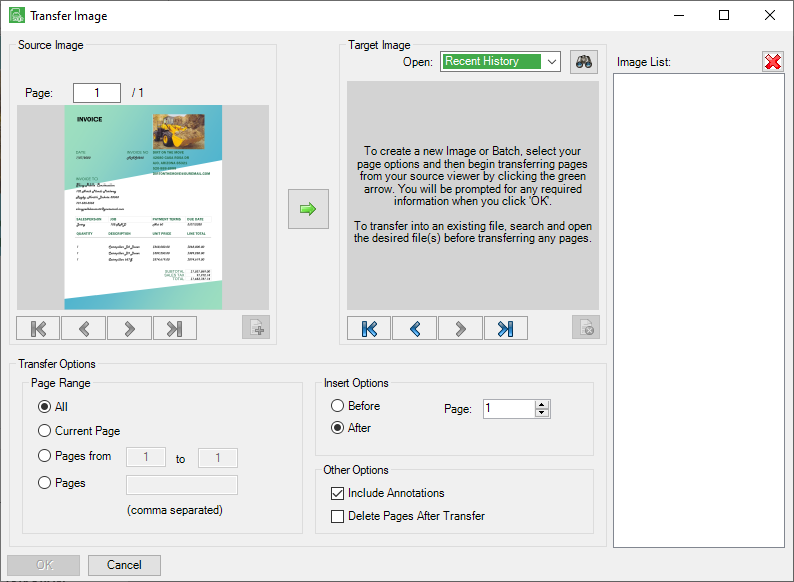 TransferPagesdialog1b-mh