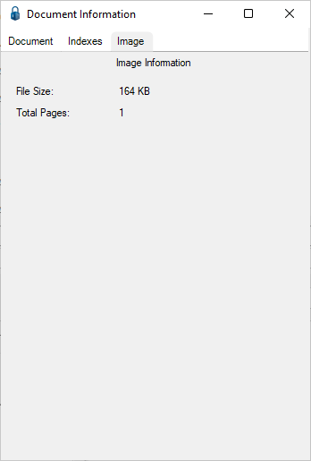 DocumentInformationdialogboxImagetab-mh