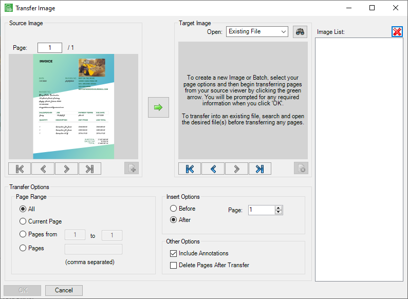 TransferPagesdialog1a-mh